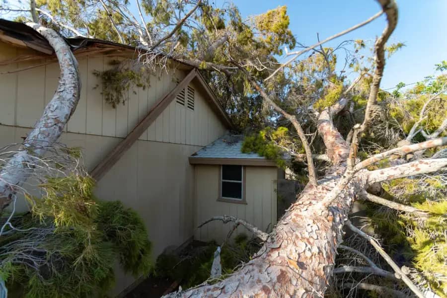 Emergency Tree Service by Nashville Tree Co. in Nashville